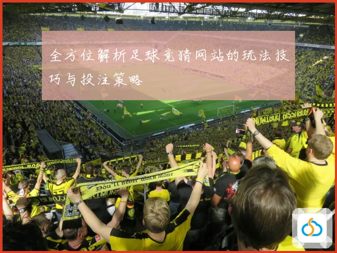 全方位解析足球竞猜网站的玩法技巧与投注策略