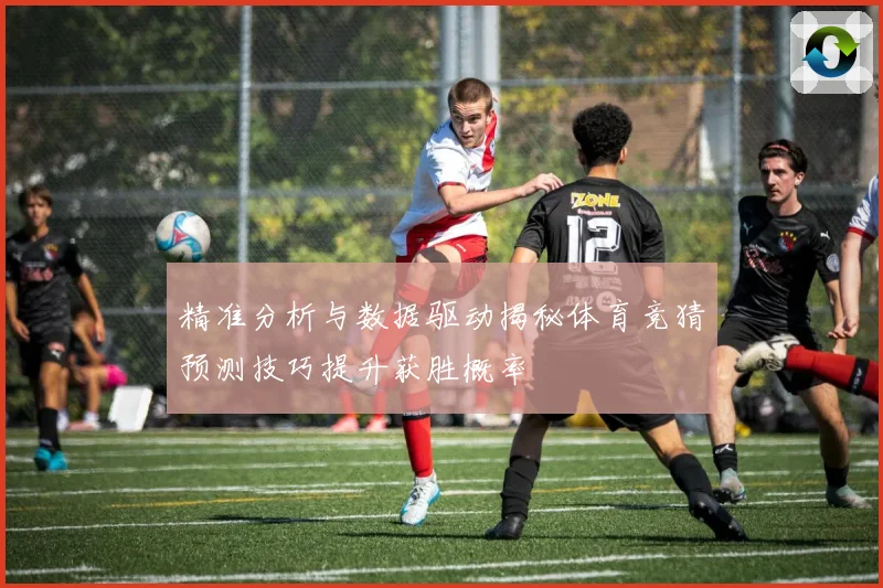 精准分析与数据驱动揭秘体育竞猜预测技巧提升获胜概率