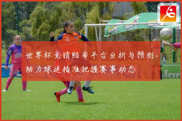 世界杯竞猜赔率平台分析与预测，助力球迷精准把握赛事动态